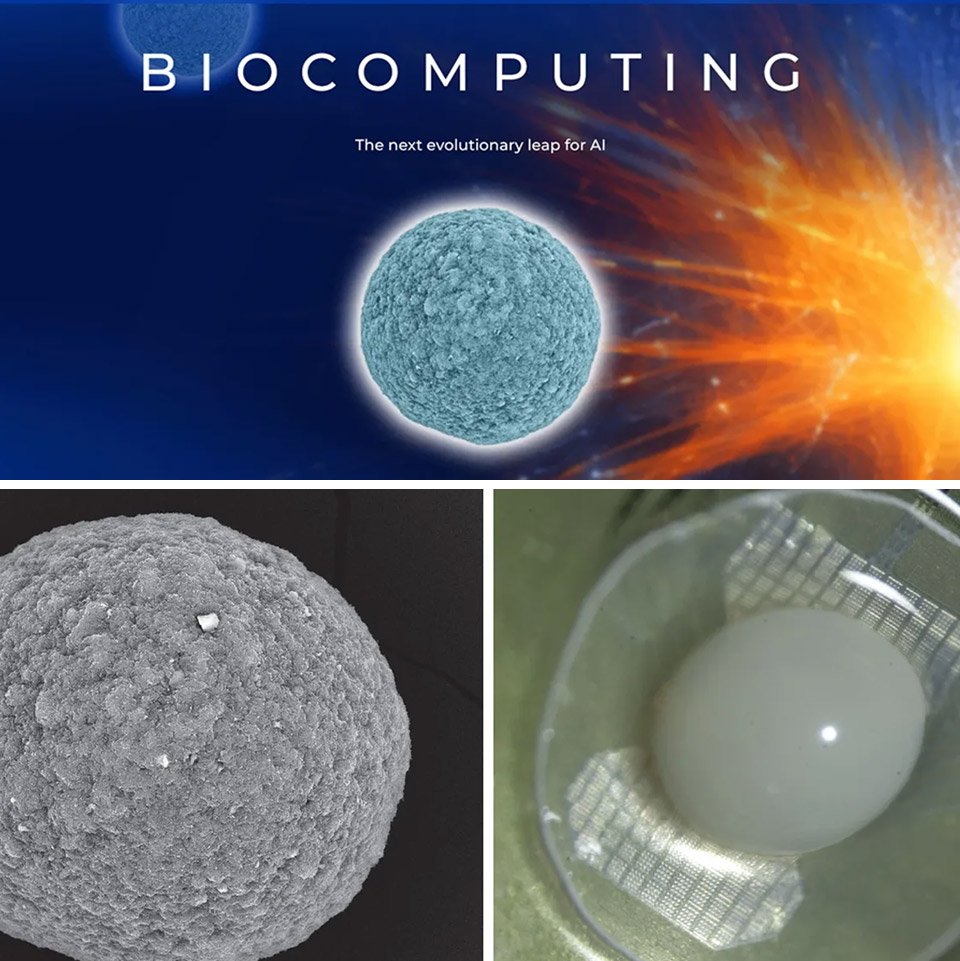 Finalspark Human Brain Computer Biocomputing